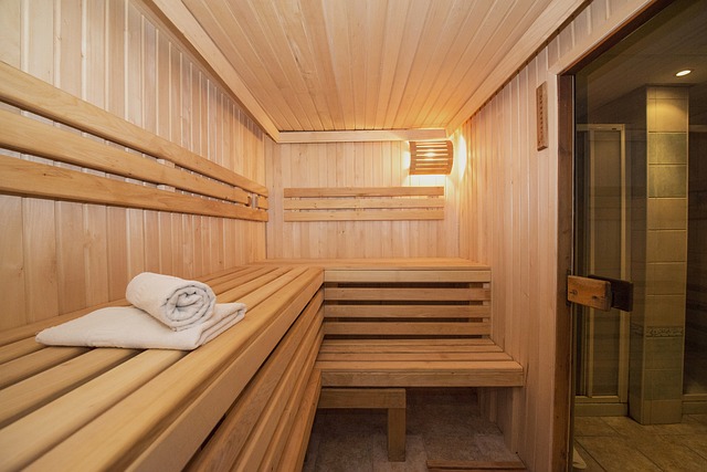 moderní sauna