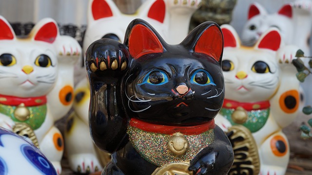 porcelánové kočky